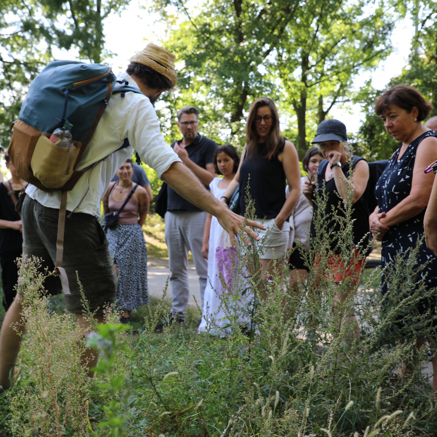 Wildkräuterspaziergang mit Romain Elleboudt