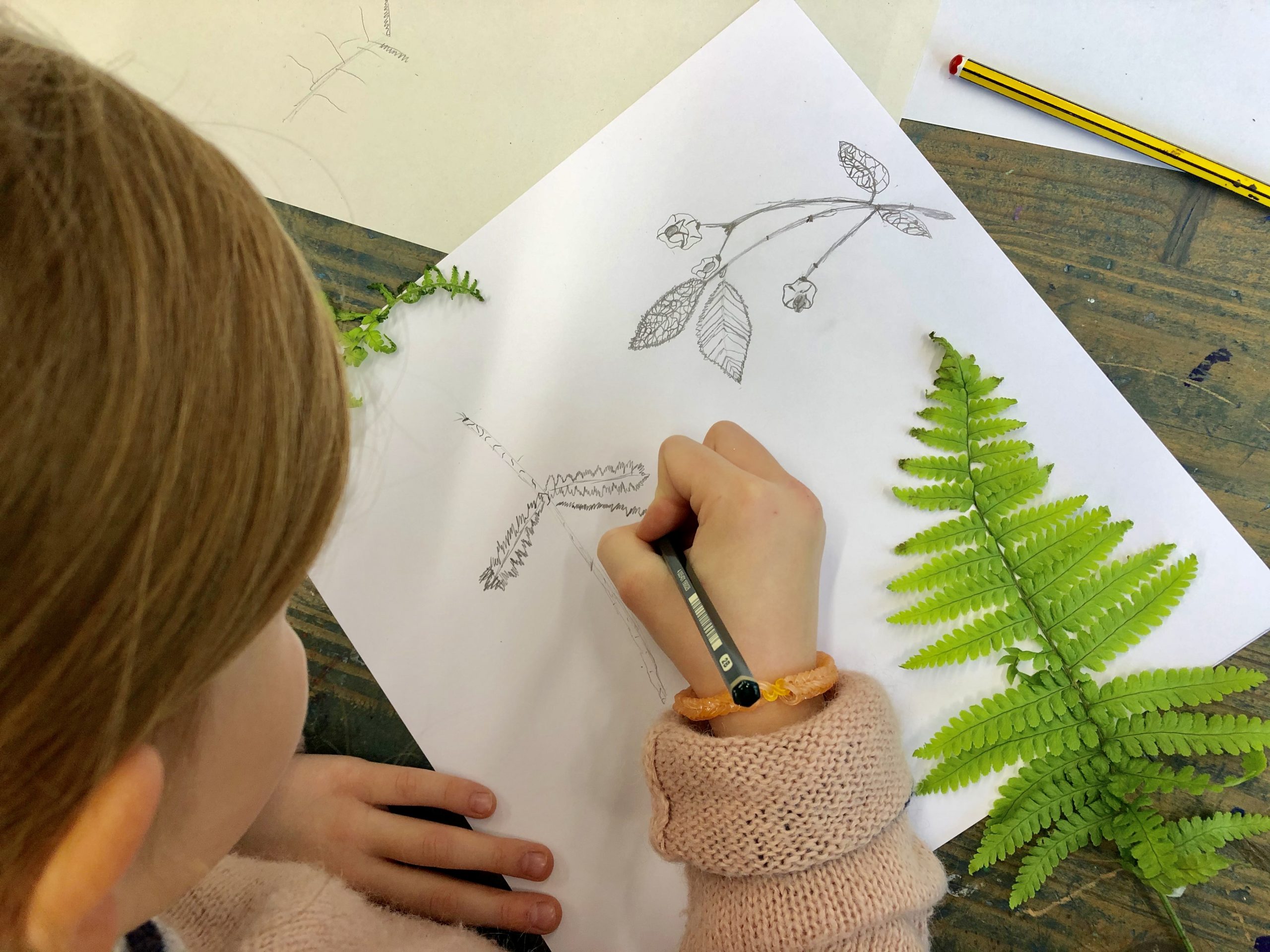 Offener Zeichenworkshop mit Janna de Haen